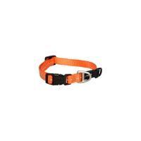 Rogz Utility Classic Dog Collar - Small (11mm x 20-31cm) - Orange