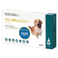 Revolution for Dogs 20.1-40 kgs - 6 Pack - Teal