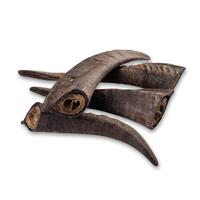 Goat Horn with Marrow - Medium (15-20cm) - Single