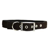 Prestige Pet Soft Padded Nylon Dog Collar - Brown