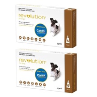 Revolution for Dogs 5.1-10 kgs - 12 Pack - Brown