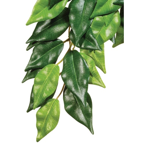 Exo Terra Hanging Rainforest Plant - Ficus - Small