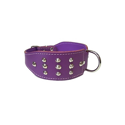 Studded Staffy Dog Collar - 55cm (Purple)