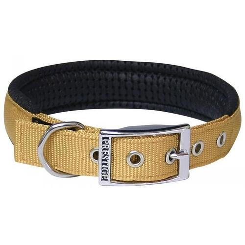 Prestige Soft Padded Dog Collar - 19mm x 36cm - Gold