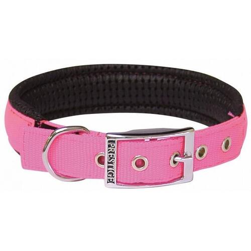 Prestige Pet Soft Padded Nylon Dog Collar - Hot Pink (19mm x 36cm)