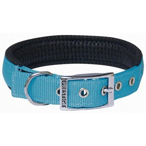 Prestige Pet Soft Padded Nylon Dog Collar - Turquoise (19mm x 36cm)