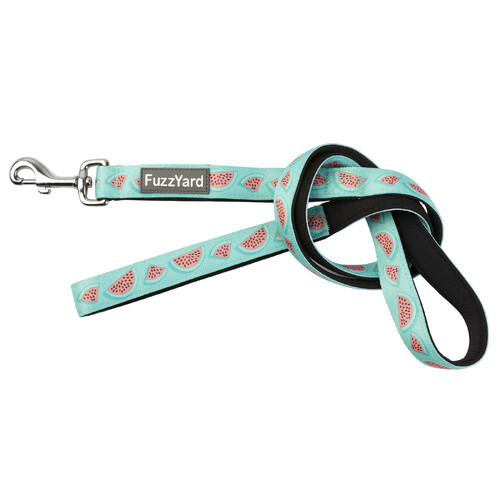 FuzzYard Dog Lead - Summer Punch - Small (15mm x 120cm)