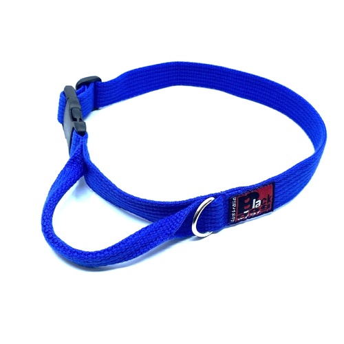 Black Dog Agility Flyball Dog Collar - Large - Blue