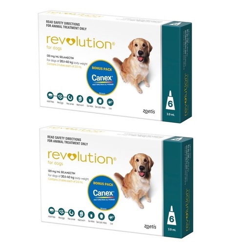 Revolution for Dogs 20.1-40 kgs - 12 Pack - Teal