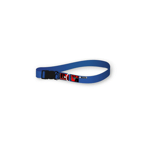 Black Dog Standard Dog Collar - Small (Blue)