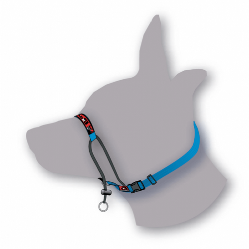 Black Dog Training Halter - Mini/X-Small (Red)